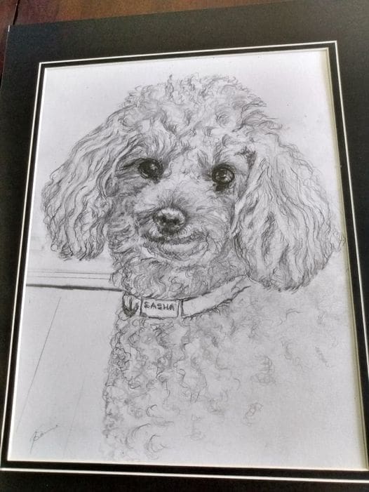 Terry Sketches -Sasha