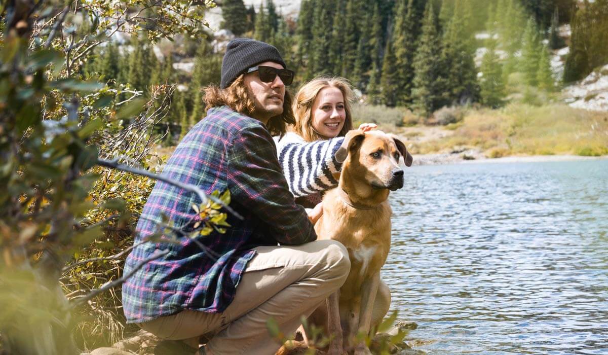 SAINTS Rescue Dogs